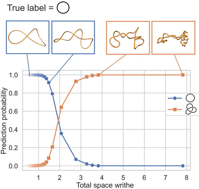 Shortcut learning in geometric knot classification